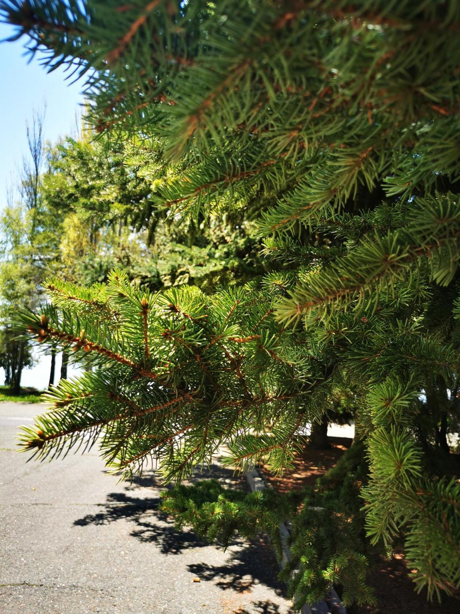 Blue Sevan Hotel エクステリア 写真